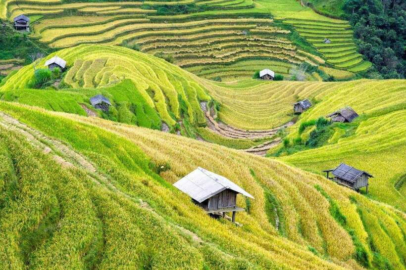 Sapa: Eco Adventure Terrace Fields and Local Villages Trek - The Final Walk to Ta Van