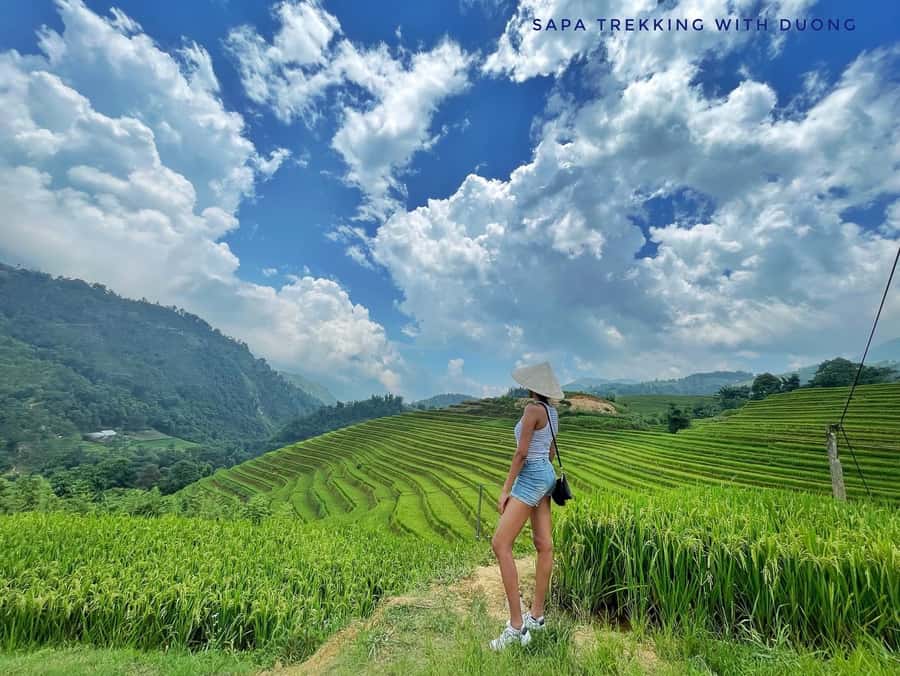 Sapa: Private The Most Beautiful Terraced Fields Trekking - Lao Chai, where the terraces take center stage