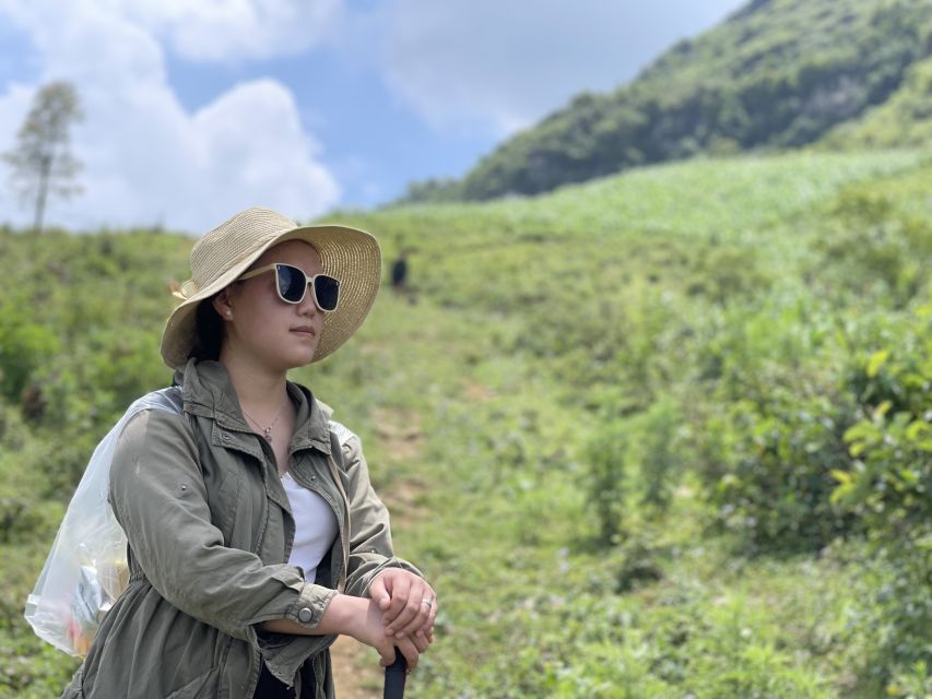 Sapa: Sapa Mountain View And Villages Trek - Ham Rong Mountain gives you Sapa from above