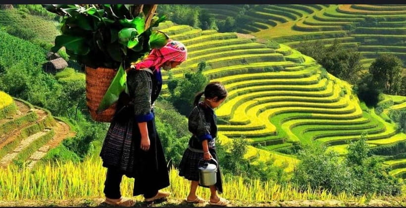 Sapa: Ta Phin Village Trek & Red Dao Herbal Bath - Why this Sapa trek feels different
