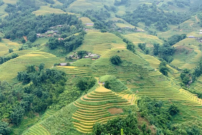 Sapa The Hidden Trail Trek 1 Day - Mountain & Rice Valley - Climbing above Sapa toward Dragon Jaw Mountain