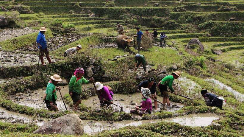 Sapa Trekking Bargains With Local Guide - Key points to know before you book