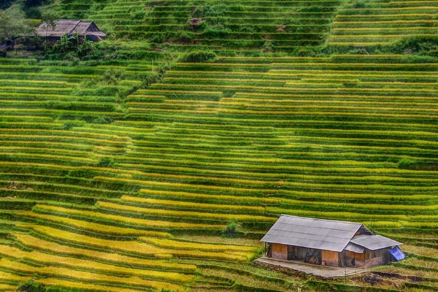 Sapa Trekking Bargains With Local Guide - Starting at Sapa Stone Church at 9 AM
