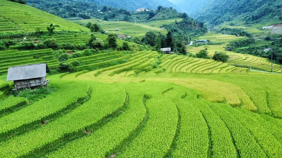 Sapa: Trekking Sapa One Day With Group Tour - Key points at a glance