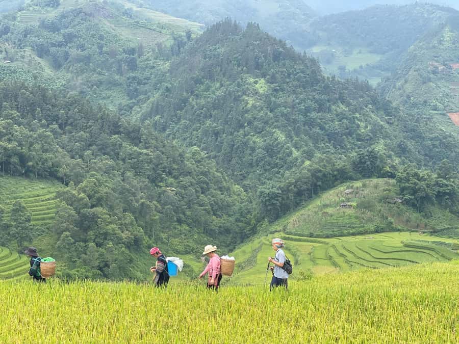 Sapa: Trekking Sapa One Day With Group Tour - Why this Sapa trek works