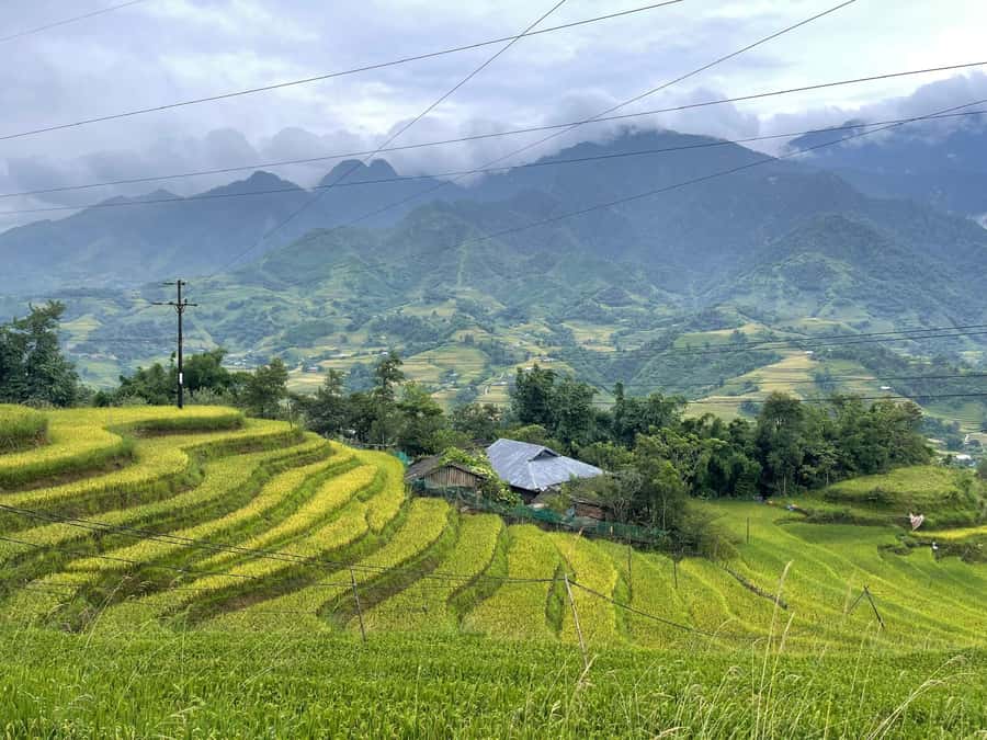 Sapa: Trekking Sapa One Day With Group Tour - Y Linh Ho and Black Hmong life