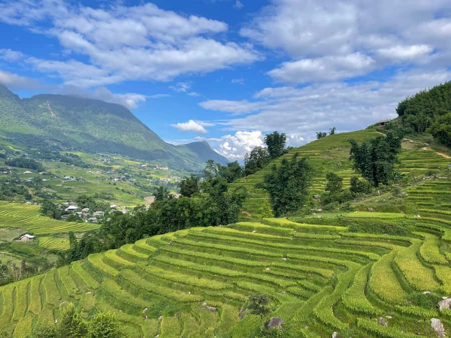 Sapa: Trekking Sapa One Day With Group Tour - Group size, pace, and physical demands