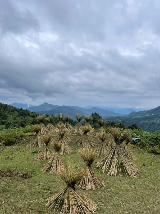 Sapa: Y Linh Ho - Lao Chai, and Ta Van Trekking Day Tour - The descent into Y Linh Ho