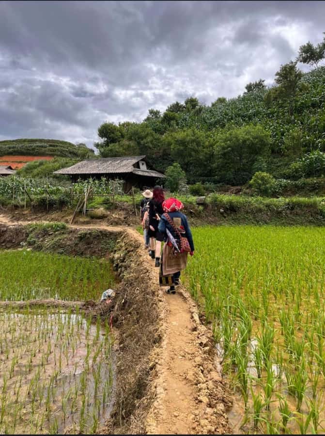 Sapa: Y Linh Ho - Lao Chai, and Ta Van Trekking Day Tour - Lao Chai and the valley lunch
