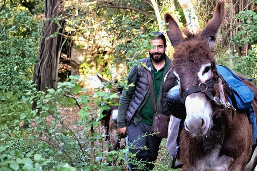 Sassari: hiking with donkeys in Cargeghe and aperitif - Key points at a glance