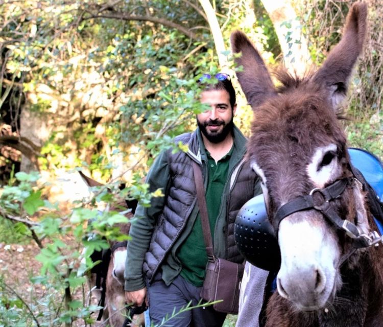Sassari: hiking with donkeys in Cargeghe and aperitif - The lime kiln adds a piece of 19th-century industry