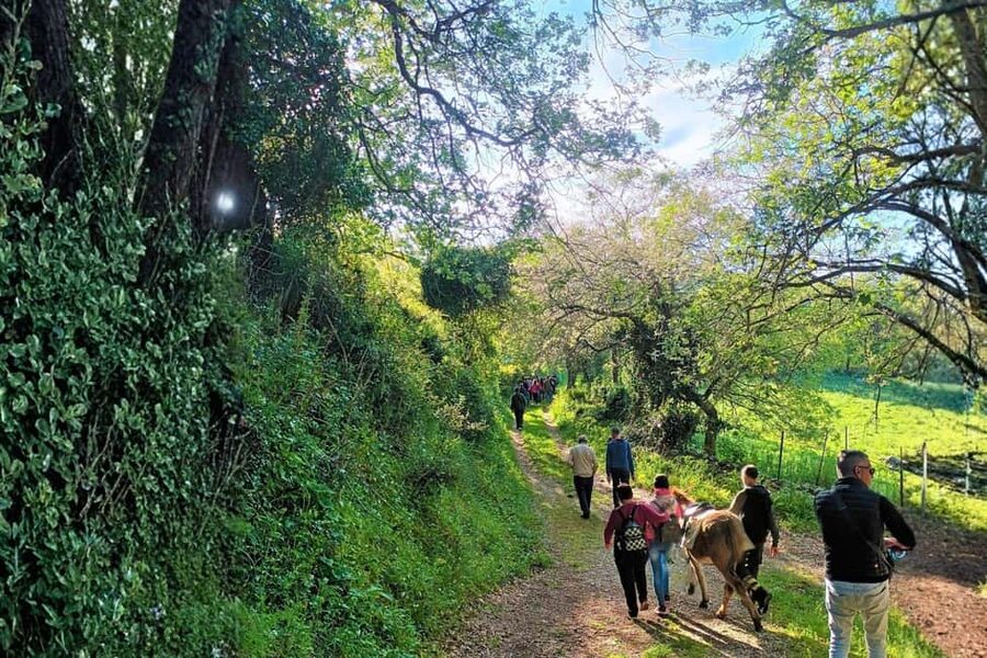 Sassari: hiking with donkeys in Cargeghe and aperitif - Santa Maria e Contra begins the local story
