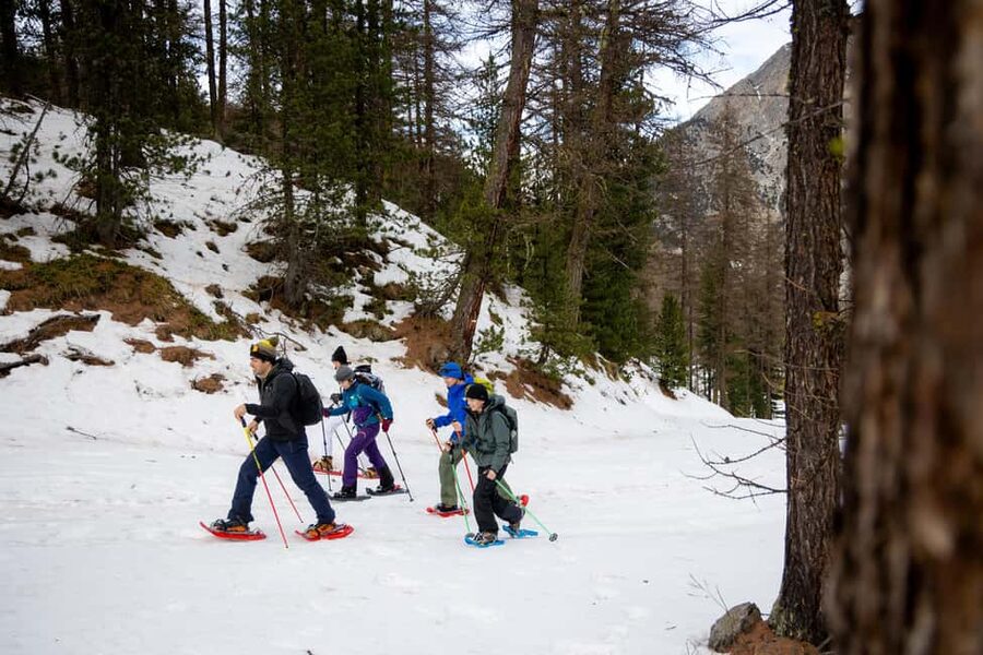 Scenic snowshoe hike in Sestriere - The 40-minute climb through snow and larch