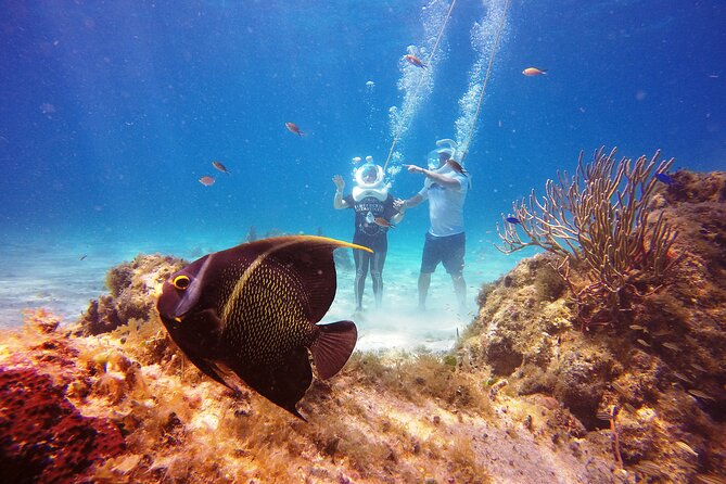 Sea Trek Adventure at Chankanaab National Park - Helmet fit, body size, and comfort