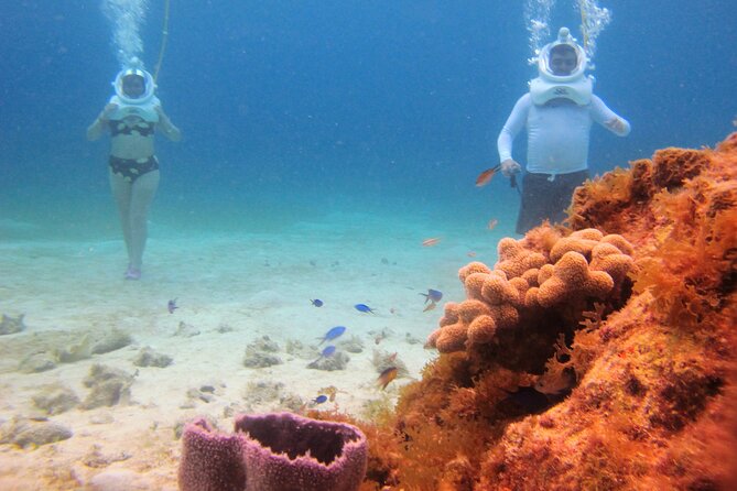 Sea Trek Adventure at Chankanaab National Park - Small groups make a real difference