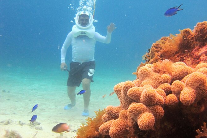 Sea Trek Adventure at Chankanaab National Park - Is $79 a fair price?