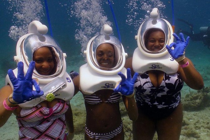 Sea Trek Helmet Dive at Coral World Ocean Park - What the Sea Trek experience actually feels like