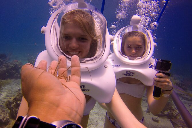 Sea Trek Helmet Dive at Coral World Ocean Park - What is included for $119