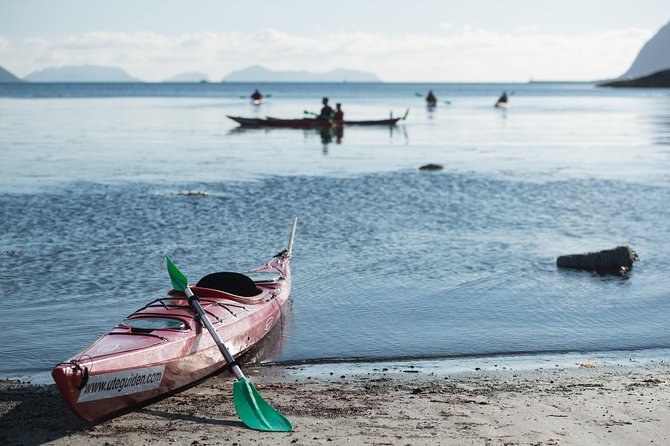 Seakayak And Hike in Ålesund - Landing at Hessa for the Mt. Sukkertoppen hike