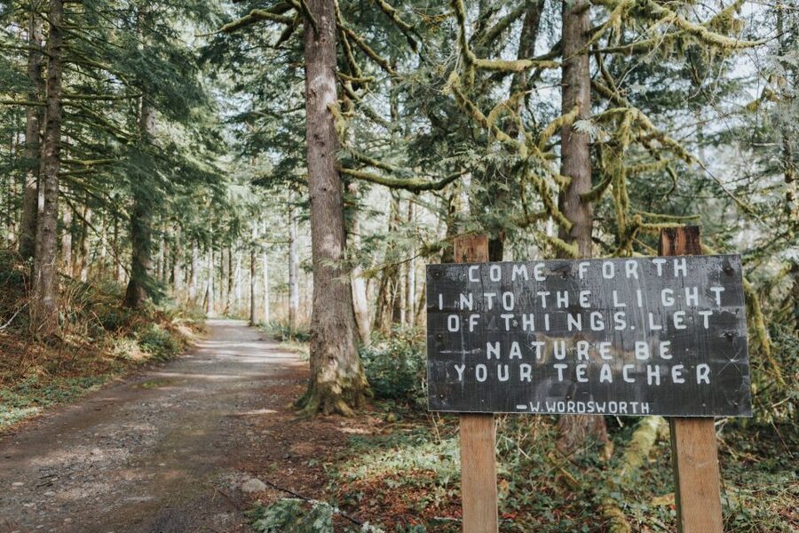 Seattle: Waterfall Wonderland Hike in Wallace Falls Park - Who should book this Wallace Falls hike?