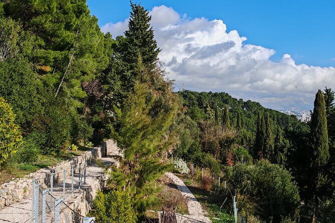 Secret Marjan Park Hiking Tour in Split - Why Marjan Park feels different from central Split