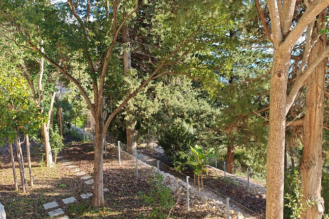 Secret Marjan Park Hiking Tour in Split - Small details that can make the walk better