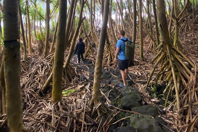 Secret Tide Pool Hike - Jungle & Coast - Private - Why this tide pool feels special