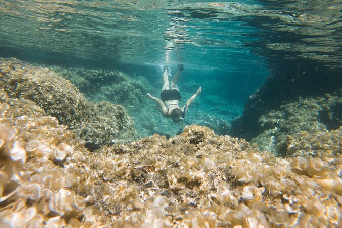 Secret Tide Pool Hike - Jungle & Coast - Private - Makaukiu Point and the natural infinity pool