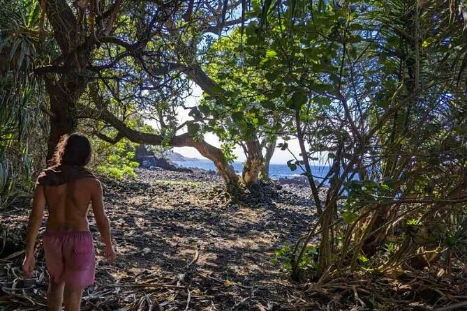 Secret Tide Pool Hike - Jungle & Coast - Private - What the private format adds