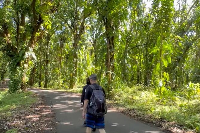 Secret Tide Pool Hike - Jungle & Coast - Private - Who should book this outing