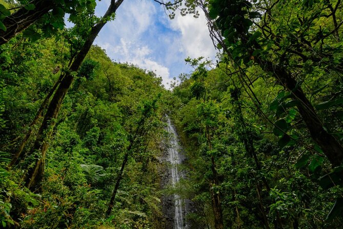 Self guided Hike Trail to Nature Walk & Waterfall - The Manoa Valley story beyond the trail