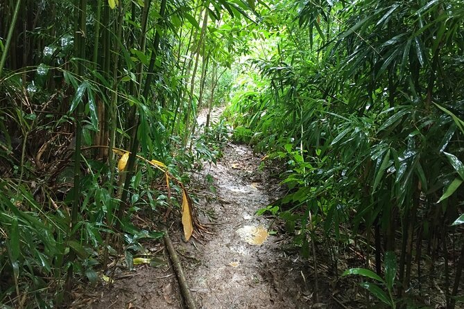 Self guided Hike Trail to Nature Walk & Waterfall - The guides can make or break the value