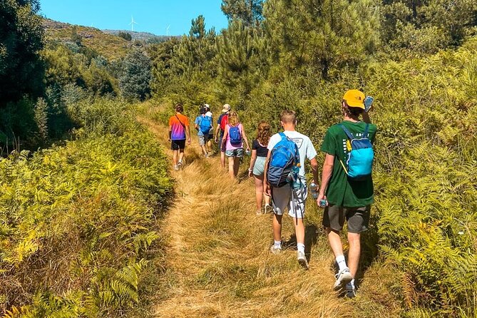 Serra D’Arga Hike, Dive & Dine Like A Local in a Secret Spot - Key points to know before you book