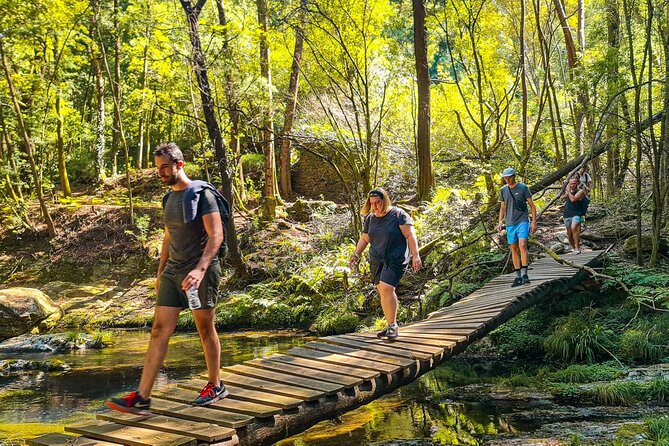 Serra D’Arga Hike, Dive & Dine Like A Local in a Secret Spot - Why the guide matters on this route