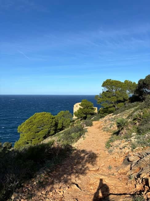 Serra de Tramuntana: Easy coastal hike with beautiful views - What Daniela adds to the experience