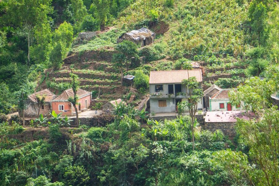 Serra Malagueta Natural Park: Hike to Gongon Valley & Lunch - Meeting families in remote mountain country
