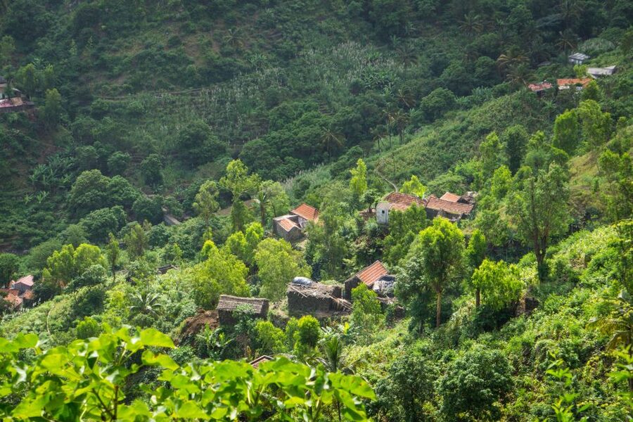 Serra Malagueta Natural Park: Hike to Gongon Valley & Lunch - What $106 includes, and what it does not