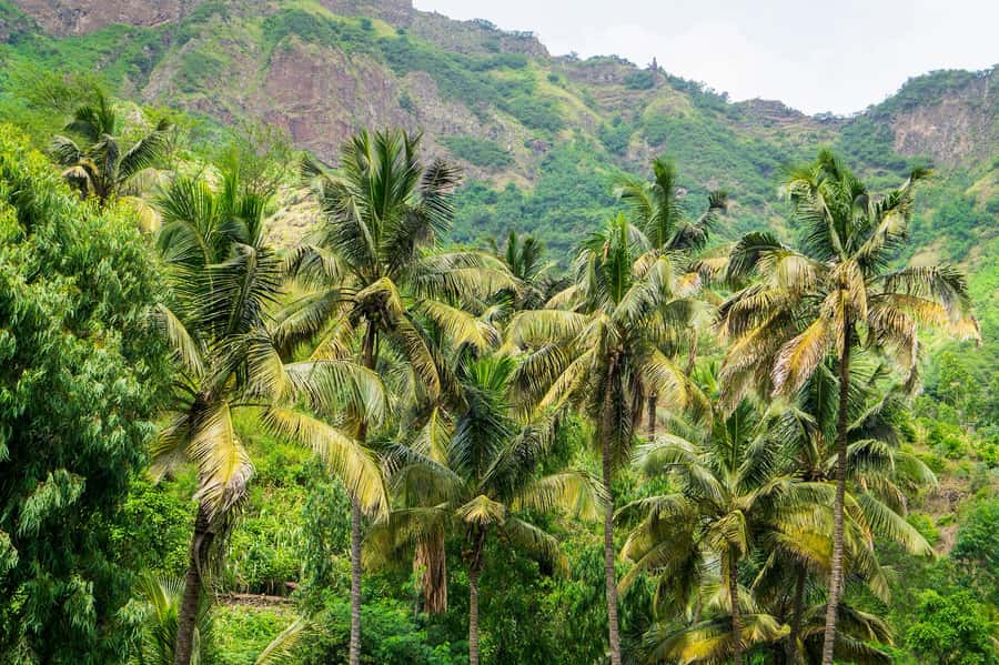 Serra Malagueta: Principal Valley Hike & Lunch with Locals - Who should book this hike