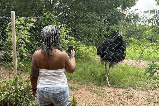 Shai Hills Safari - Hike & See Animals - The safari drive option for shorter walks