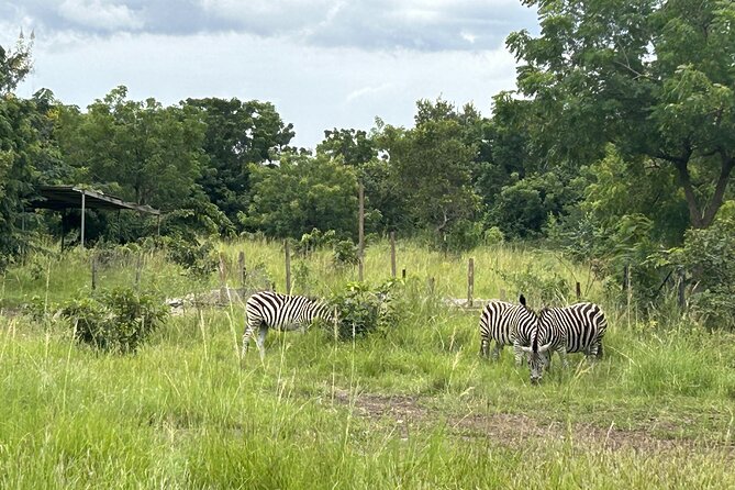 Shai Hills Safari - Hike & See Animals - What the $130 price includes