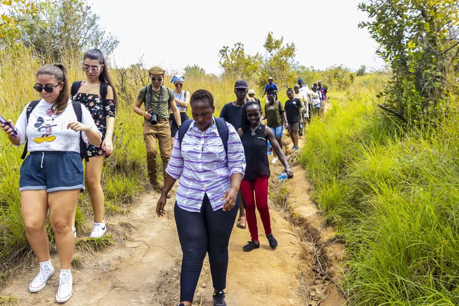 Shimba Hills Day Safari & Sheldrick Falls Hike Private Tour - Key points to know before you book