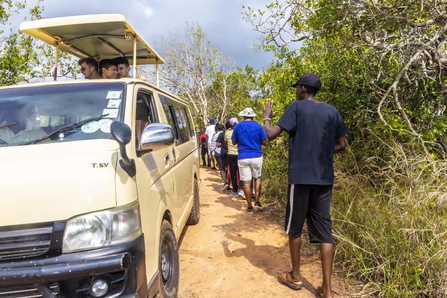 Shimba Hills Day Safari & Sheldrick Falls Hike Private Tour - How rain, timing and fitness affect your day