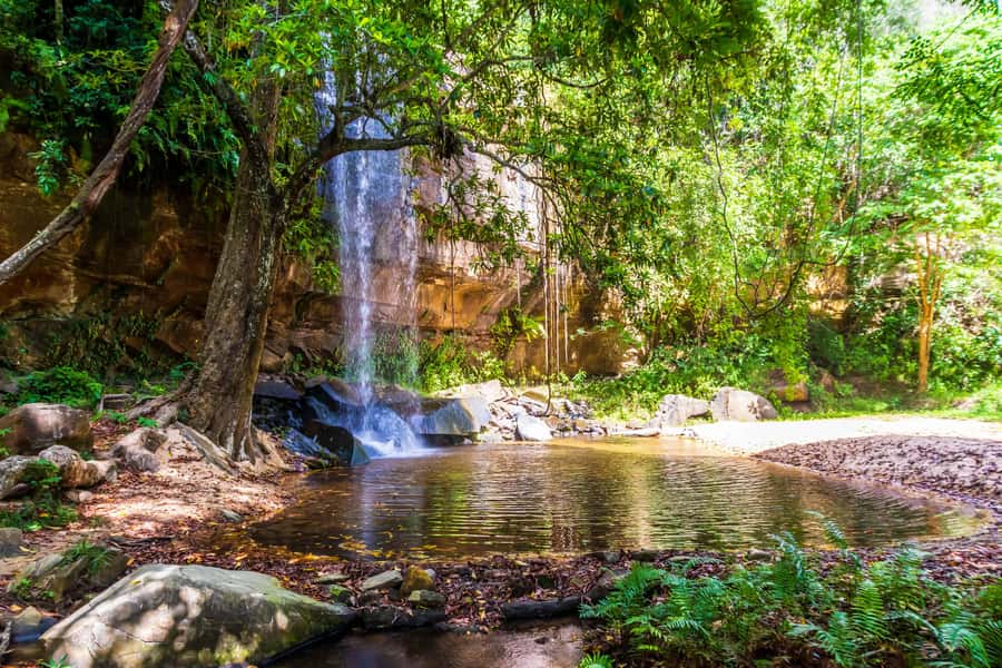 Shimba Hills Day Safari & Sheldrick Falls Hike Private Tour - Entering Shimba Hills National Reserve