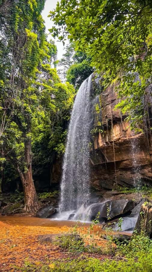 Shimba Hills: Game Drive, Waterfall Hike, and Lunch - Key things to know before booking