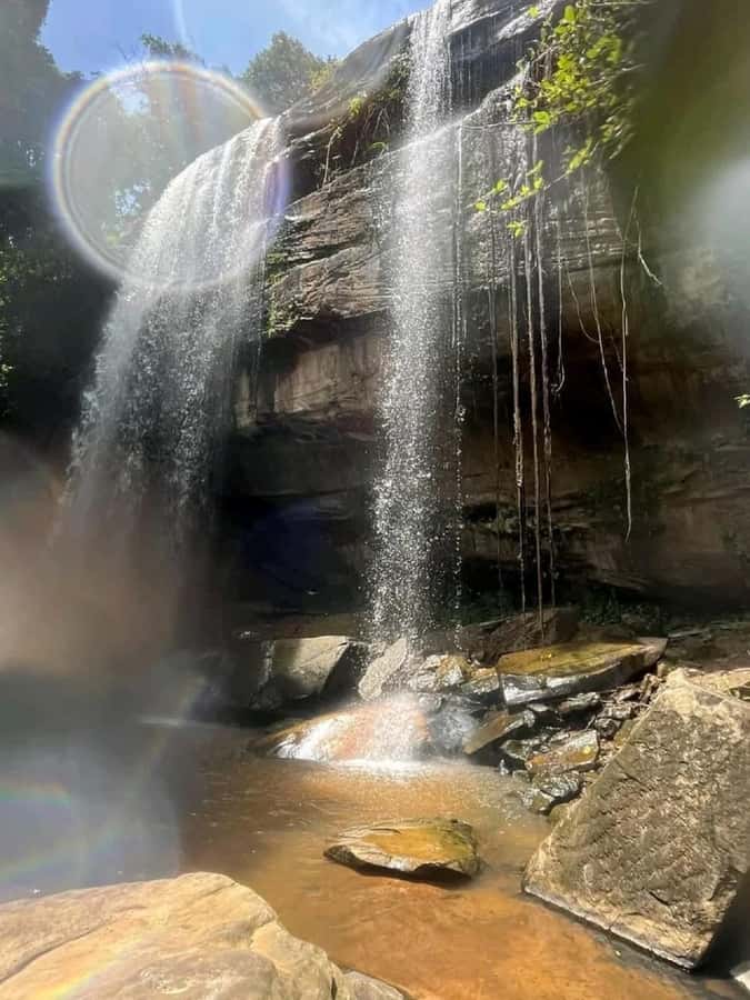 Shimba Hills: Game Drive, Waterfall Hike, and Lunch - Why Shimba Hills makes a good coastal day trip