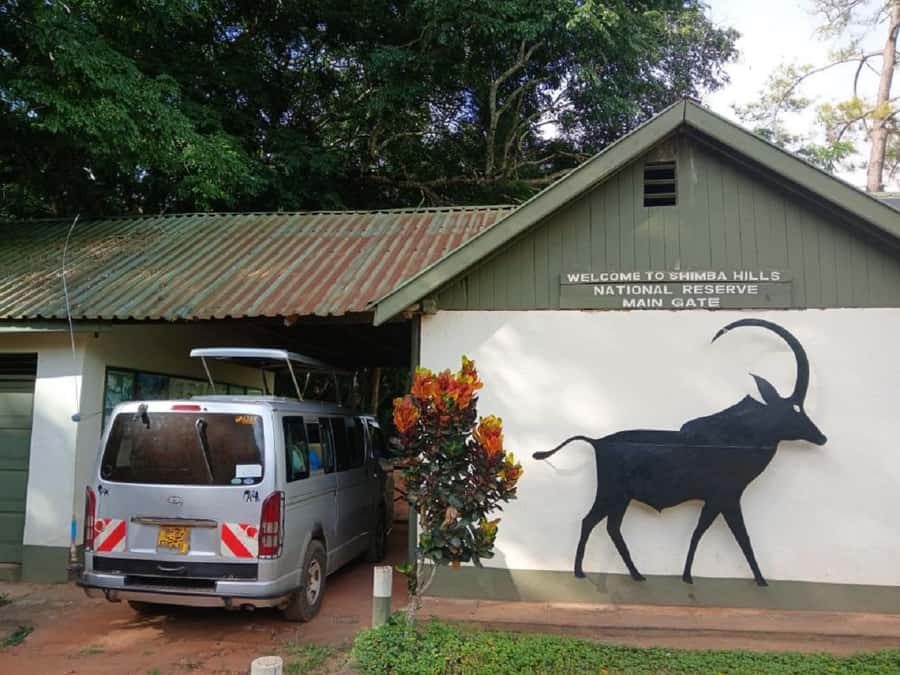 Shimba Hills: Game Drive, Waterfall Hike, and Lunch - The early drive from Diani or Mombasa