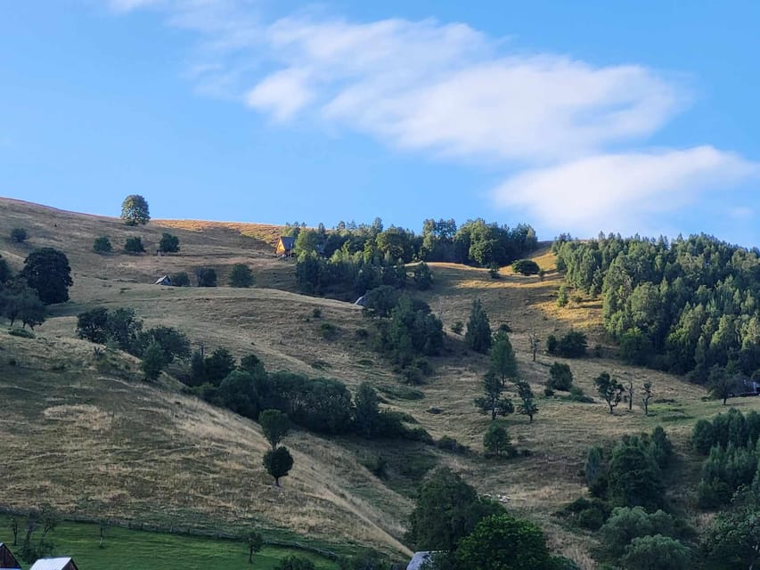 Sibiu: Cindrel Mountains Hike with Traditional Brunch - How hard is this Cindrel Mountains hike?