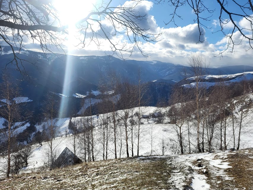 Sibiu: Cindrel Mountains Hike with Traditional Brunch - Reaching MGS Cabin for the Transylvanian brunch