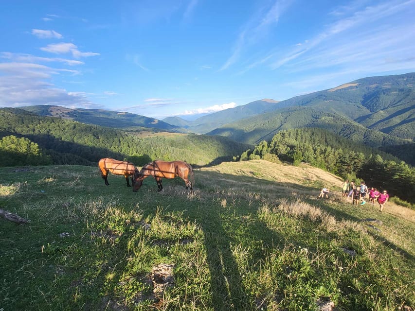 Sibiu: Cindrel Mountains Hike with Traditional Brunch - What the price includes, and what it does not
