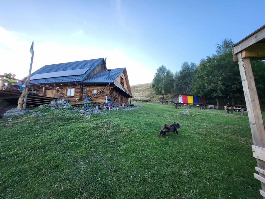 Sibiu: Cindrel Mountains Hike with Traditional Brunch - Timing, pace, and the shape of the day
